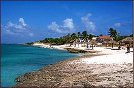 Aruba Beaches: Malmok Beach